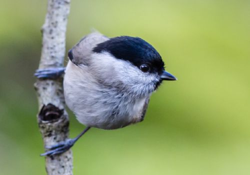 Nouveau : un troisième lieu de sens !