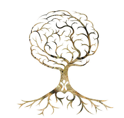 arbre racines