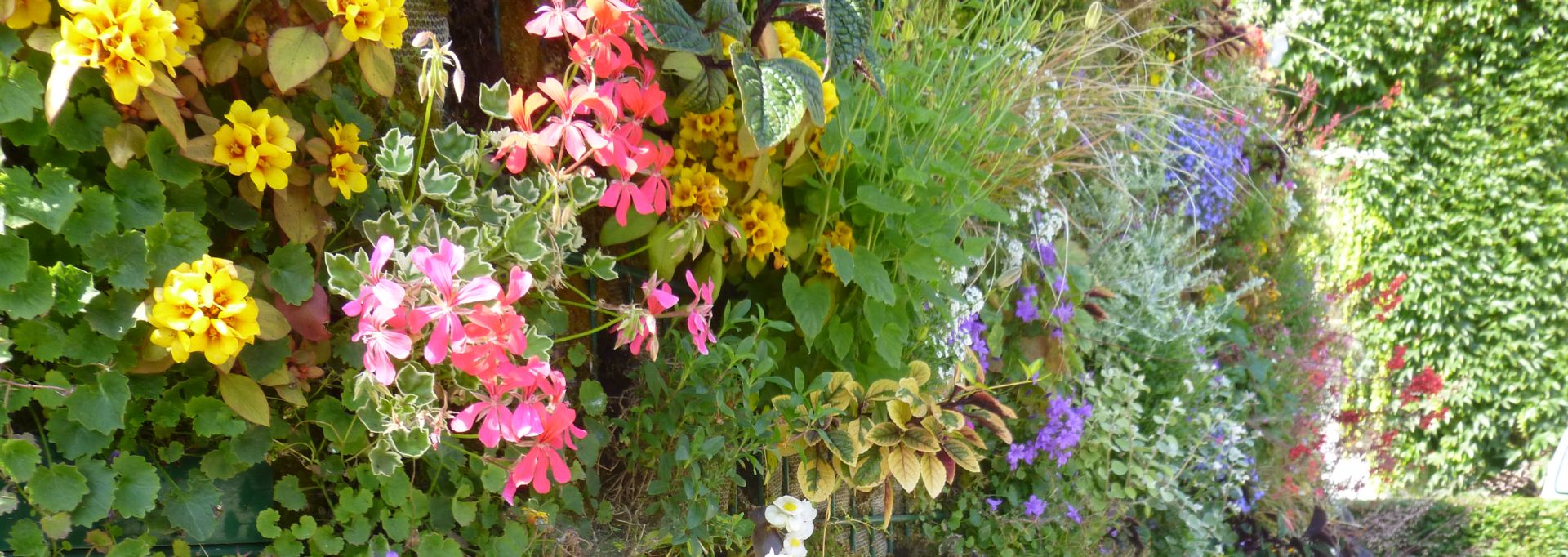 Mur Fleuri21920 682